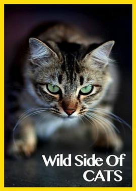 自然纪录片《猫咪的狂野一面 Wild Side of Cats》下载-零三纪录片资源网