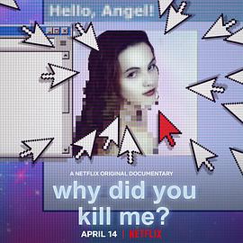 社会生活纪录片《网络缉凶 Why Did You Kill Me?》下载-零三纪录片资源网
