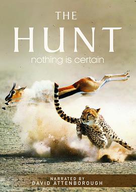 自然纪录片《猎捕 The Hunt》下载-零三纪录片资源网