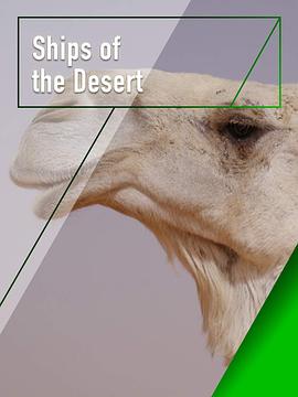 自然纪录片《沙漠之舟 Ships of the Desert》下载-零三纪录片资源网