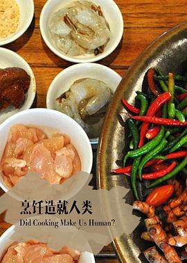 探索纪录片《地平线系列：烹饪造就人类吗 Horizon: Did Cooking Make Us Human》下载-零三纪录片资源网