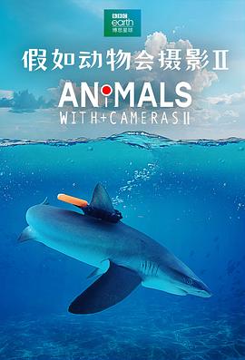 纪录片《假如动物会摄影 II Animals with Cameras II》下载-零三纪录片资源网