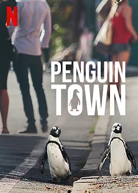 自然纪录片《企鹅小镇 Penguin Town》下载-零三纪录片资源网