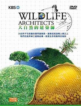 自然纪录片《大自然的建筑师 Wildlife Architects》下载-零三纪录片资源网