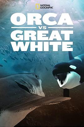 自然纪录片《虎鲸对上大白鲨 Orca vs. Great White》下载-零三纪录片资源网