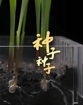 社会生活纪录片《种子 种子》下载-零三纪录片资源网