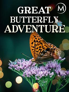 自然纪录片《蝴蝶大冒险 The Great Butterfly Adventure: Africa to Britain with the Painted Lady》下载-零三纪录片资源网