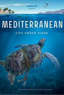 自然纪录片《地中海 Mediterranean: Life Under Siege》下载-零三纪录片资源网