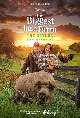最大的小小农场:回归 The Biggest Little Farm: The Return的海报