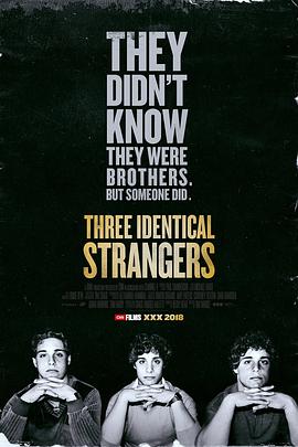社会生活纪录片《孪生陌生人 Three Identical Strangers》下载-零三纪录片资源网