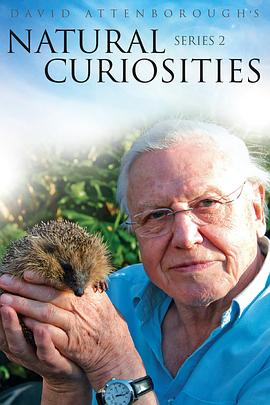 自然纪录片《自然趣闻 第二季 David Attenborough's Natural Curiosities Season 2》下载-零三纪录片资源网