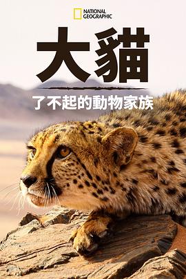 自然纪录片《猫科动物：奇妙的动物家族 Big Cats: An Amazing Animal Family》下载-零三纪录片资源网