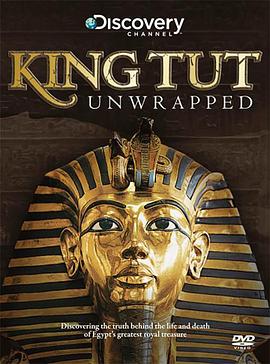 探索纪录片《贴近埃及王图坦卡蒙 King Tut Unwrapped》下载-零三纪录片资源网