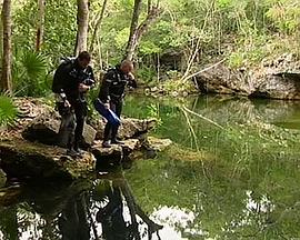 人文地理纪录片《自然世界：玛雅地下世界之谜 Natural World: Secrets of the Maya Underworld》下载-零三纪录片资源网