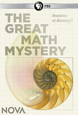 新星:数学大谜思 Nova:The Great Math Mystery的海报