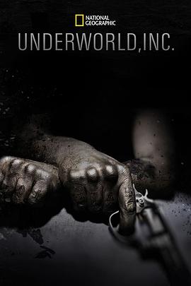 商业金融纪录片《黑市大企业 第一季 Underworld Inc. Season 1》下载-零三纪录片资源网