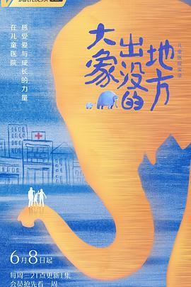 大象出没的地方的海报