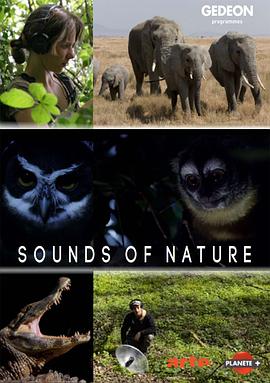 自然纪录片《自然密语 第一季 À l’écoute de la nature Season 1》下载-零三纪录片资源网