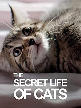 自然纪录片《BBC地平线：猫的秘密生活 Horizon: The Secret Life of the Cat》下载-零三纪录片资源网