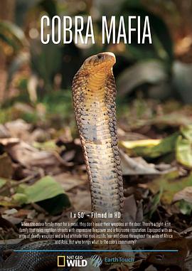 自然纪录片《眼镜蛇黑手党 Cobra Mafia》下载-零三纪录片资源网