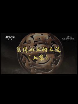 探索纪录片《象岗山上的王陵》下载-零三纪录片资源网