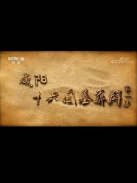 探索纪录片《咸阳十六国墓葬群》下载-零三纪录片资源网