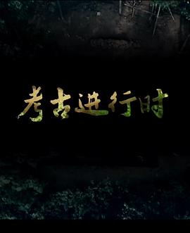 2014考古进行时的海报