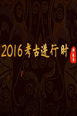 探索纪录片《探索发现：2016考古进行时》下载-零三纪录片资源网