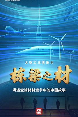 工艺技术纪录片《栋梁之材》下载-零三纪录片资源网