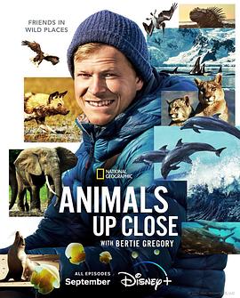 自然纪录片《贝尔蒂·格雷戈里:与动物零距离 Animals Up Close with Bertie Gregory》下载-零三纪录片资源网