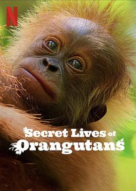 自然纪录片《红毛猩猩的秘密生活 Secret Lives of Orangutans》下载-零三纪录片资源网
