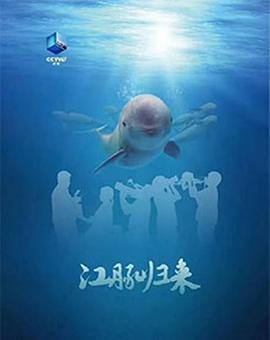 自然纪录片《江豚归来》下载-零三纪录片资源网