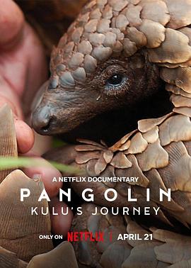 自然纪录片《穿山甲Kulu的旅程 Pangolin: Kulu’s Journey》下载-零三纪录片资源网