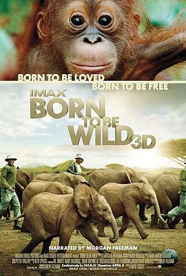 自然纪录片《天生狂野 Born to Be Wild》下载-零三纪录片资源网