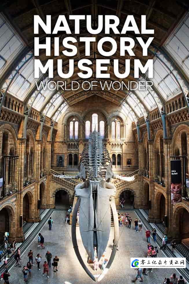 自然纪录片《英国自然历史博物馆：神奇世界 Natural History Museum: World of Wonder》下载-零三纪录片资源网
