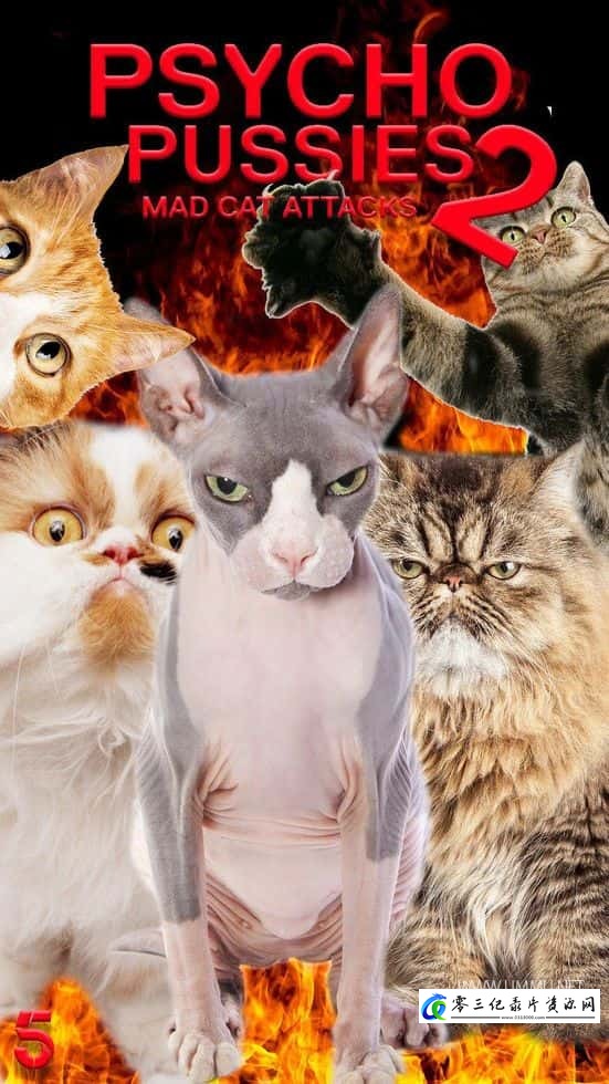 自然纪录片《神经质猫咪 2：疯猫来袭 Psycho Pussies 2: Mad Cat Attacks》下载-零三纪录片资源网
