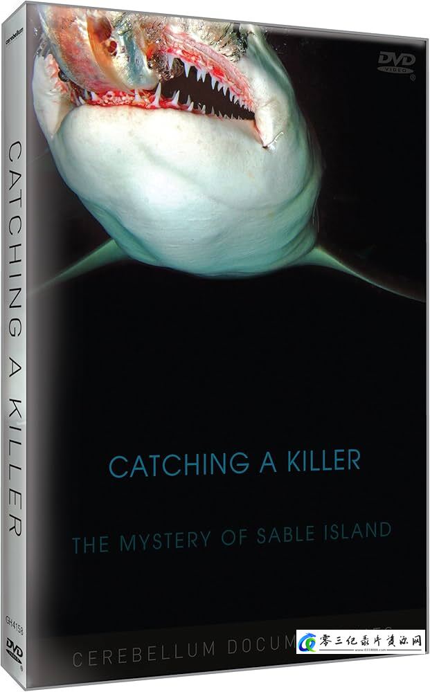自然纪录片《抓捕杀手：黑貂岛之谜 Catching a Killer: The Mystery of Sable Island》下载-零三纪录片资源网