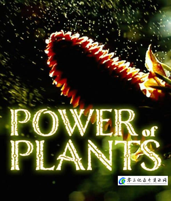 自然纪录片《植物的力量 Power of Plants》下载-零三纪录片资源网