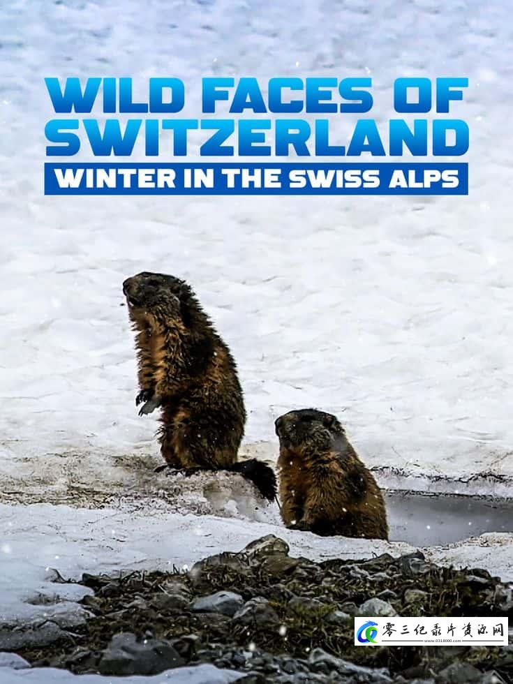 人文地理纪录片《瑞士的野生面貌 Wild Faces of Switzerland》下载-零三纪录片资源网