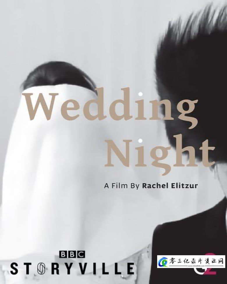 人文地理纪录片《新婚之夜 Wedding Night》下载-零三纪录片资源网