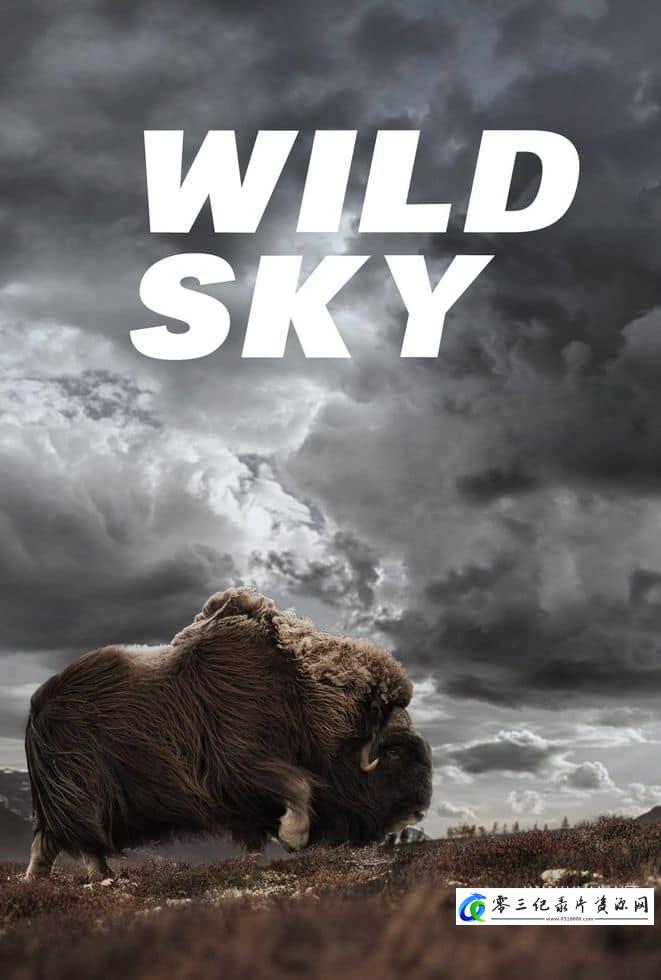 自然纪录片《狂野天空 Wild Sky》下载-零三纪录片资源网
