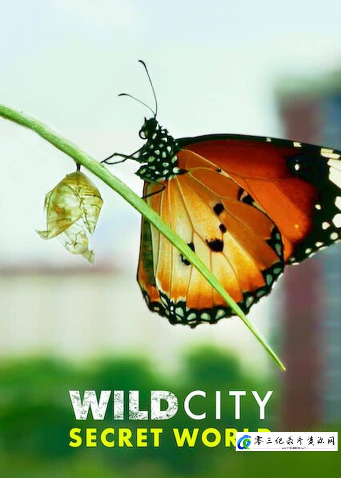 人文地理纪录片《野生城市：秘密世界 Wild City: Secret World》下载-零三纪录片资源网