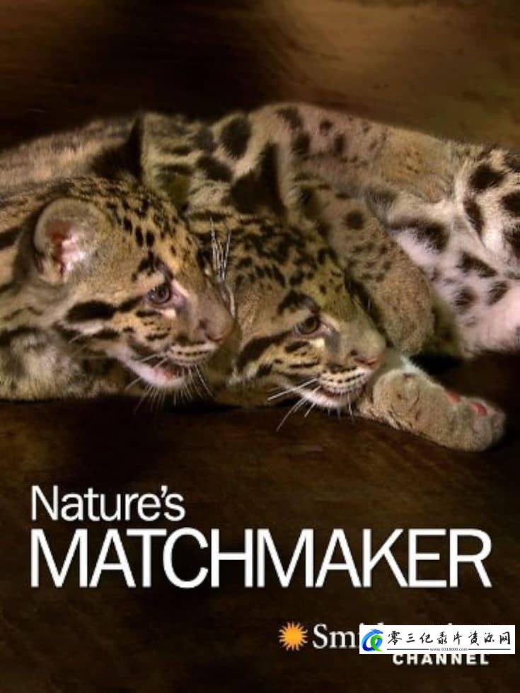 自然纪录片《自然界的媒人 Nature's Matchmaker》下载-零三纪录片资源网