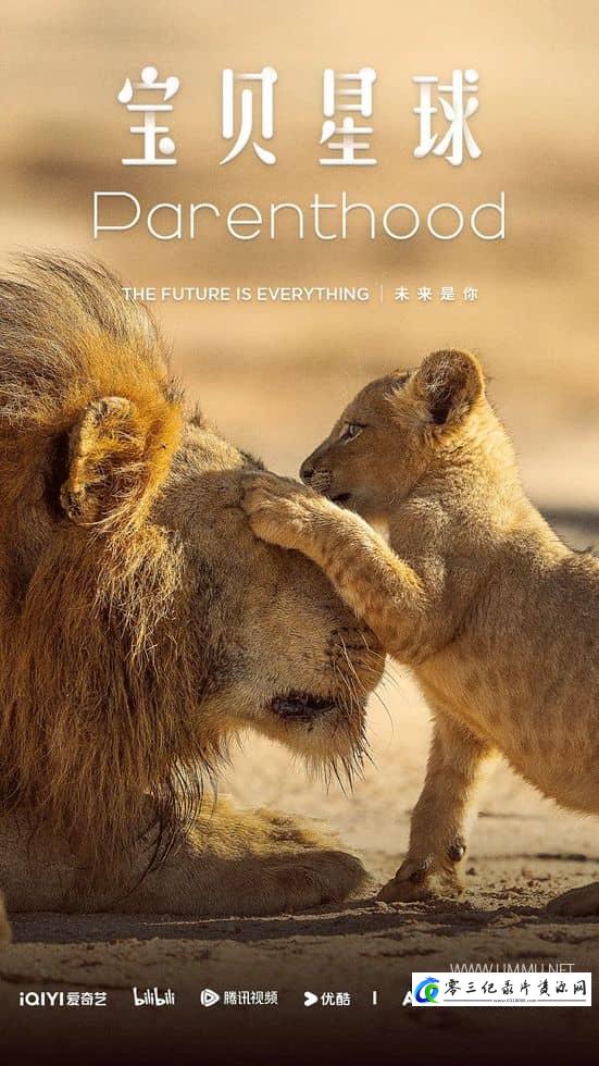 宝贝星球 Parenthood的海报