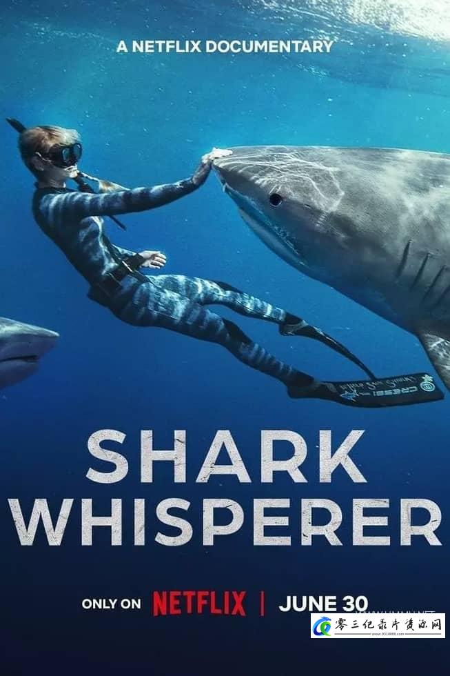 自然纪录片《鲨语者 Shark Whisperer》下载-零三纪录片资源网