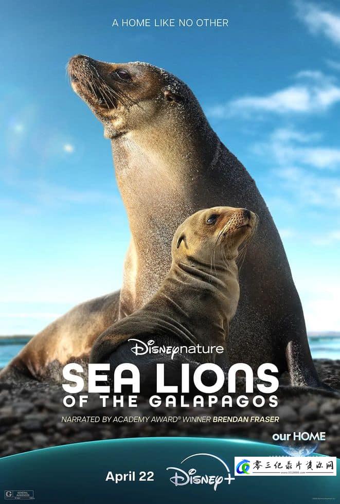 自然纪录片《海狮利奥环岛记 Sea Lions of the Galápagos》下载-零三纪录片资源网