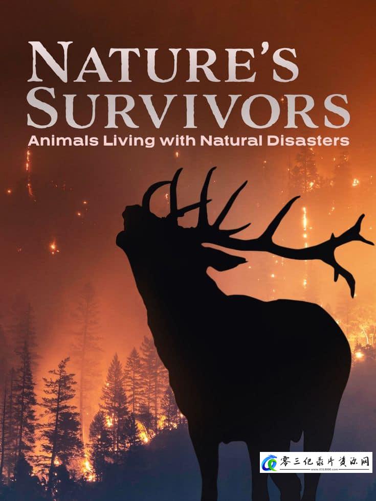 自然幸存者 Natures Survivors的海报
