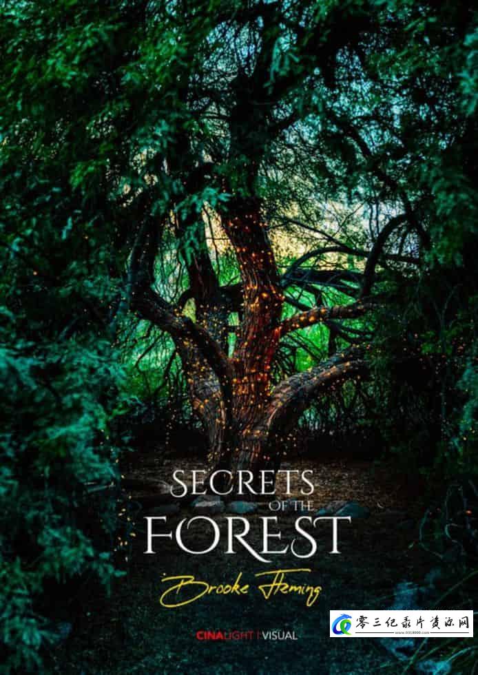 自然纪录片《森林的秘密 Secrets of the Forest》下载-零三纪录片资源网
