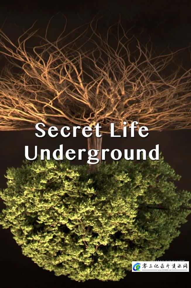 地下的隐秘生命 Secret Life Underground的海报