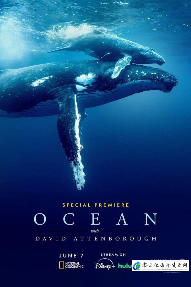 自然纪录片《大卫·爱登堡：海洋 David Attenborough: Ocean》下载-零三纪录片资源网
